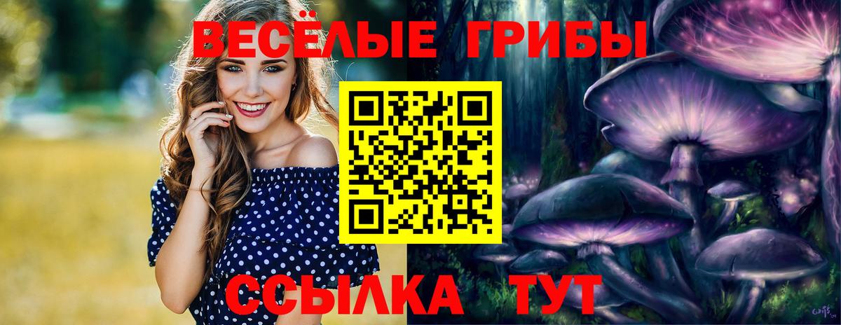 Псилоцибиновые грибы Cubensis  Вход с VPN  Лянтор 
